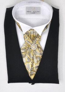 Formal Men Tie