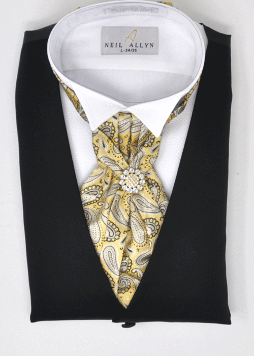 Formal Men Tie