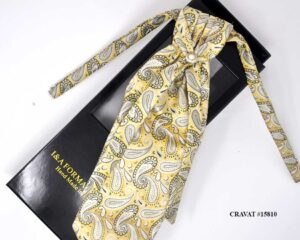 Formal Men Tie